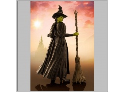 S.H. Figuarts Elphaba - Wicked (Bandai)