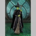 S.H. Figuarts Elphaba - Wicked (Bandai)