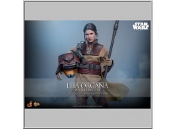 Hot Toys Leia Organa (Boushh Disguise) - Star Wars Episode VI