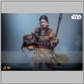 Hot Toys Leia Organa (Boushh Disguise) - Star Wars Episode VI