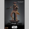 Hot Toys Leia Organa (Boushh Disguise) - Star Wars Episode VI