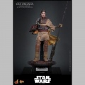 Hot Toys Leia Organa (Boushh Disguise) - Star Wars Episode VI