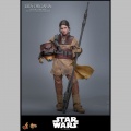 Hot Toys Leia Organa (Boushh Disguise) - Star Wars Episode VI