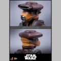 Hot Toys Leia Organa (Boushh Disguise) - Star Wars Episode VI