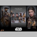 Hot Toys Leia Organa (Boushh Disguise) - Star Wars Episode VI