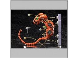 Figma Dobkeratops - R-Type (Freeing)