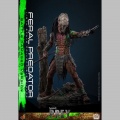 Hot Toys Feral Predator (Battle Damaged Version) - Prey
