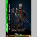 Hot Toys Feral Predator (Battle Damaged Version) - Prey