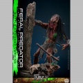 Hot Toys Feral Predator (Battle Damaged Version) - Prey