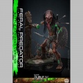 Hot Toys Feral Predator (Battle Damaged Version) - Prey