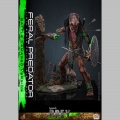Hot Toys Feral Predator (Battle Damaged Version) - Prey