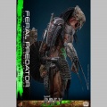 Hot Toys Feral Predator (Battle Damaged Version) - Prey