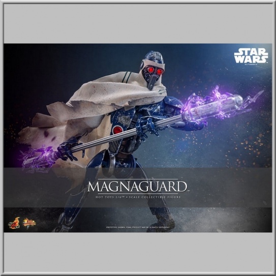 Hot Toys MagnaGuard - Star Wars