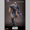 Hot Toys MagnaGuard - Star Wars