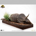 ECC 1/8 Sick Triceratops - Jurassic Park