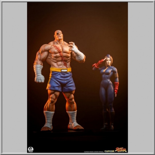 PCS Sagat & Juli - Street Fighter Street Jam