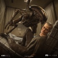 Iron Studios Ellen Ripley and Dog Alien - Alien 3