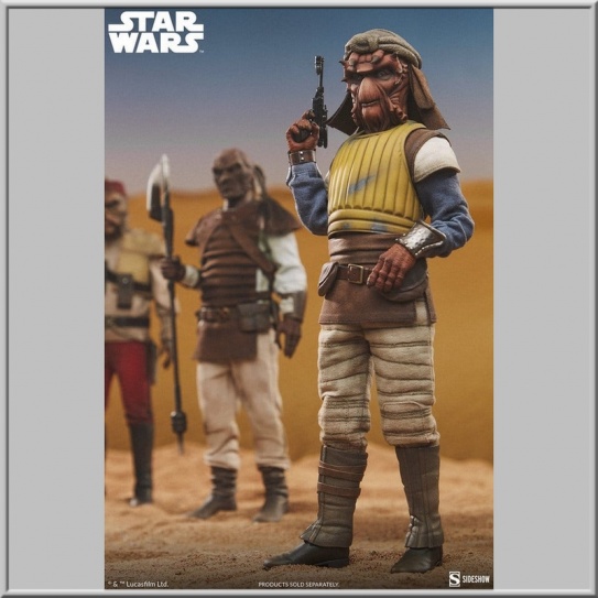 Sideshow Vizam 1/6 - Star Wars