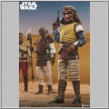 Sideshow Vizam 1/6 - Star Wars