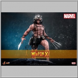 Hot Toys Weapon X - Marvel Comic