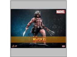 Hot Toys Weapon X - Marvel Comic