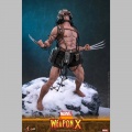 Hot Toys Weapon X - Marvel Comic