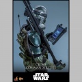 Hot Toys Clone Commander Gree - Star Wars Episode III
