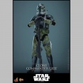 Hot Toys Clone Commander Gree - Star Wars Episode III