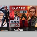Hot Toys Black Widow - Black Widow