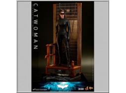 Hot Toys Catwoman - The Dark Knight Trilogy