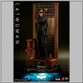 Hot Toys Catwoman - The Dark Knight Trilogy