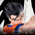 Tsume HQS Gohan VS Buu - Dragon Ball Z