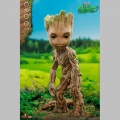Hot Toys Groot - I Am Groot