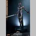 Hot Toys Black Panther - Black Panther: Wakanda Forever