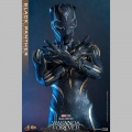 Hot Toys Black Panther - Black Panther: Wakanda Forever