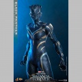 Hot Toys Black Panther - Black Panther: Wakanda Forever