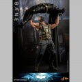 Hot Toys Bane - The Dark Knight Rises