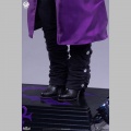 Prince 1/3 Purple Rain (PCS)