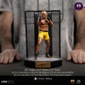 Iron Studios Anderson "Spider" Silva - Signed Version - UFC