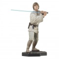 Luke Skywalker (Training) - Star Wars Episode IV